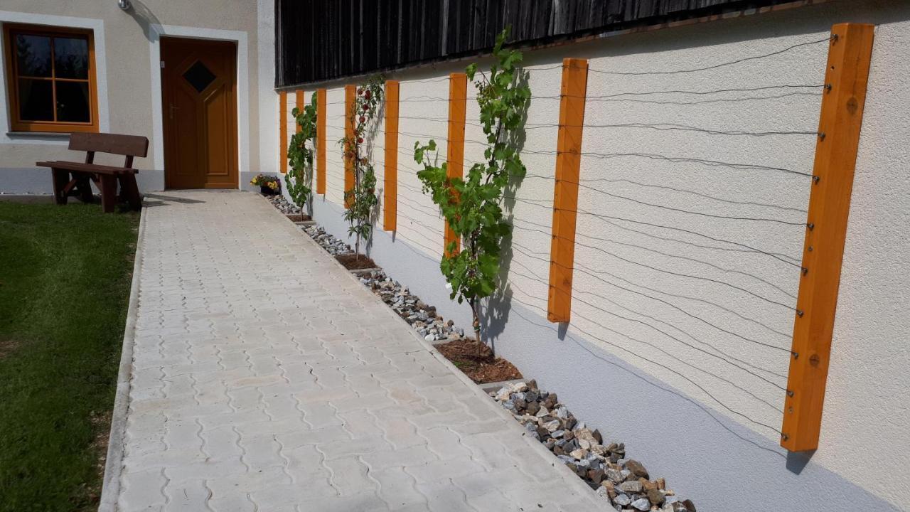 Ferienhaus Buxbaum Arbesbach Kültér fotó